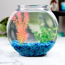 2 gallon fish tank