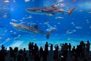 best aquariums in the US