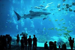 best aquariums in the US